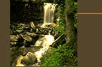 West Virginia Travel Vacation Lodgings, cabins, camping, beds and breakfasts, national parks, vacation rentals, state parks